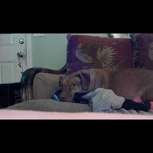 Meet your Posher, Jason